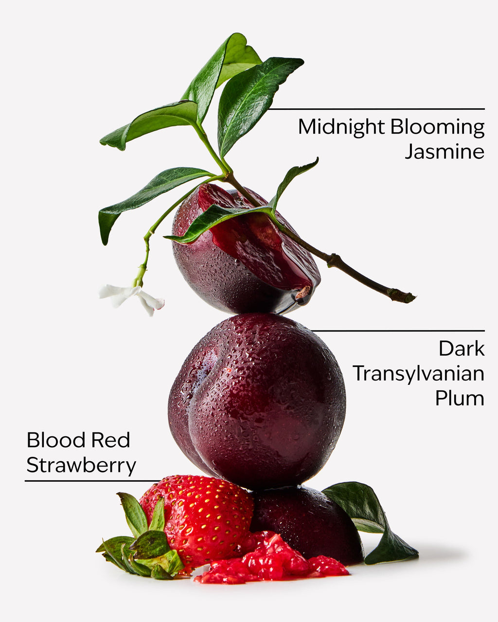 Vampire Blood Gift Set