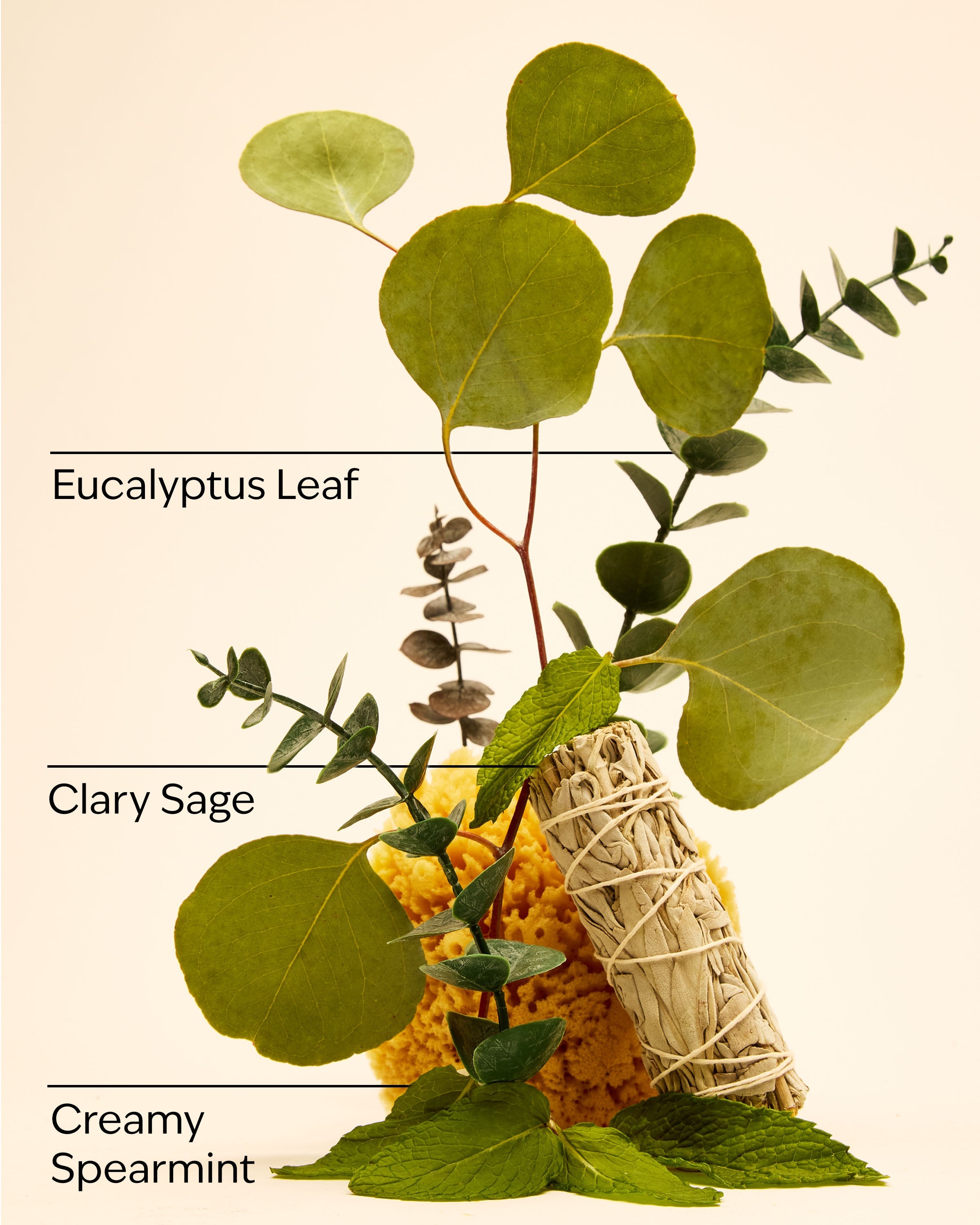 Eucalyptus Spearmint Car Fragrance Refill