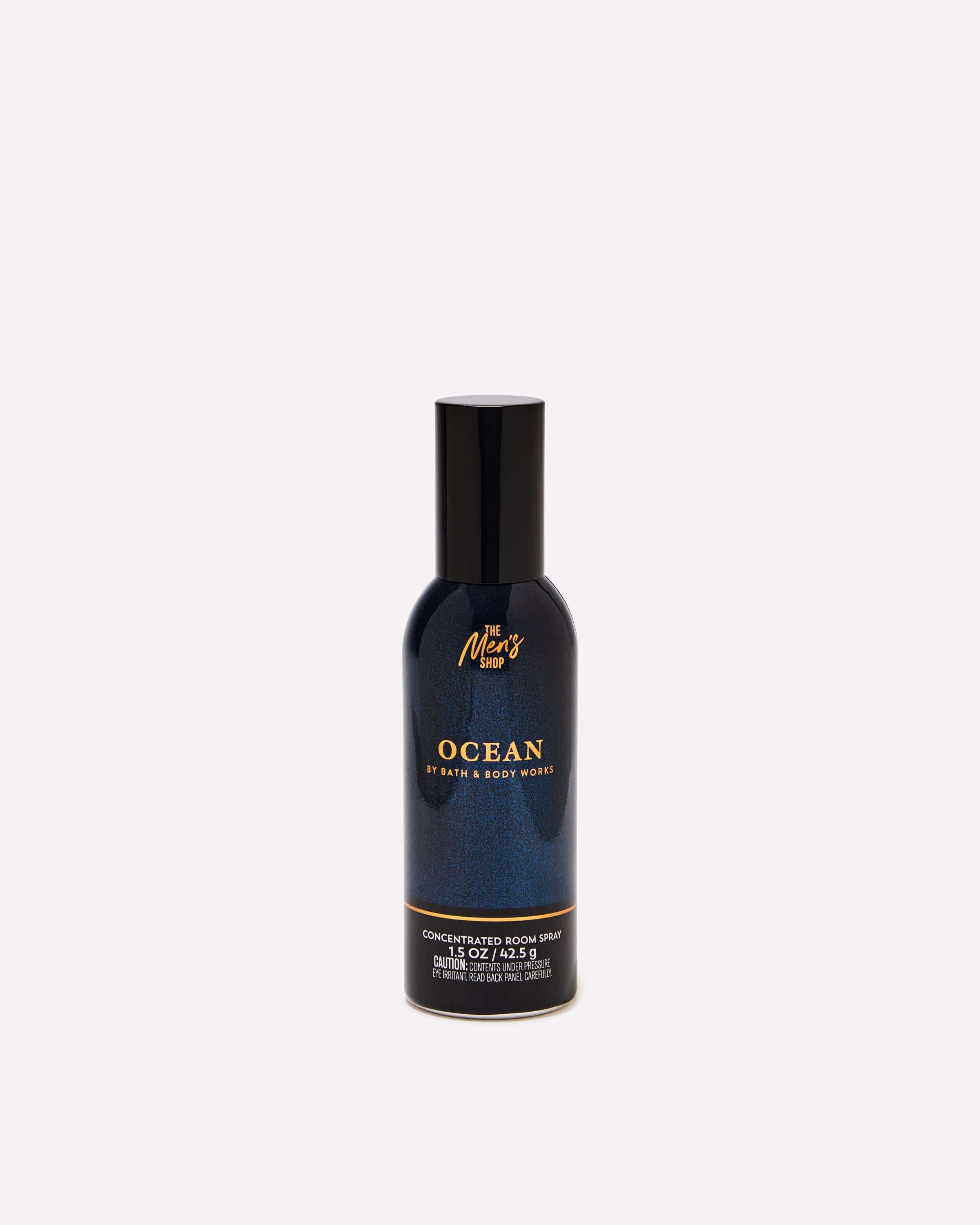 Ocean Concentrated Room Spray