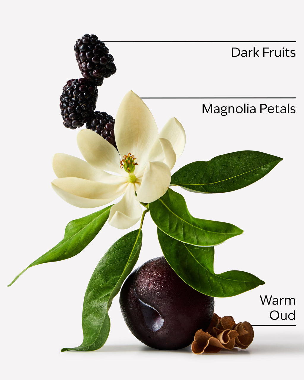 Oud Berry Body Wash