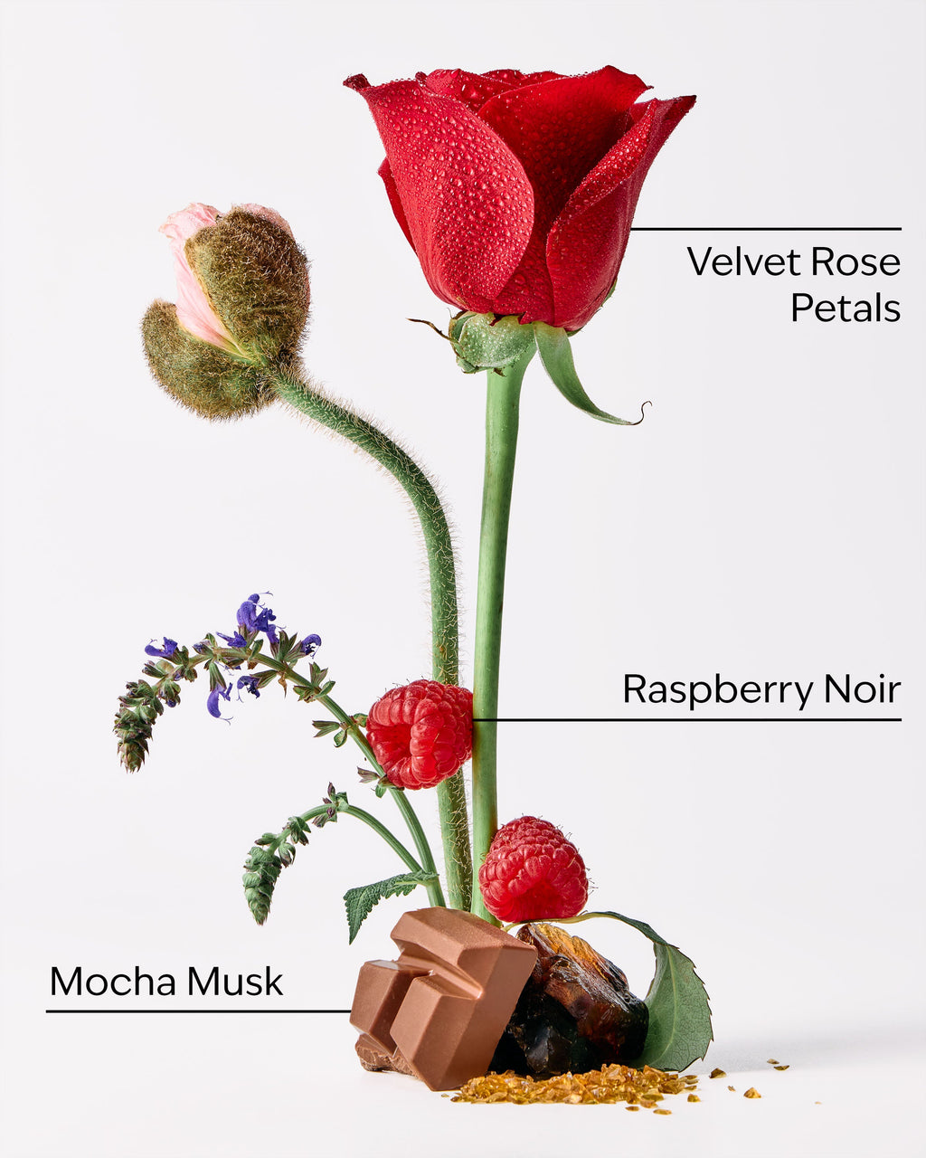 Into the Night 3-Wick Candle